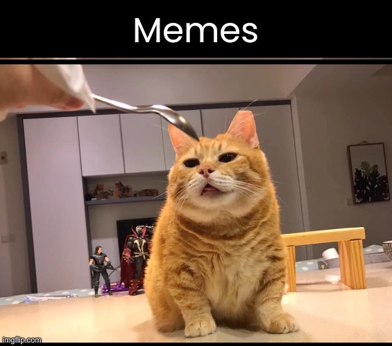 Memes | made w/ Imgflip meme maker