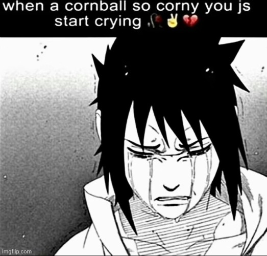image tagged in when a cornball so corny you js start crying | made w/ Imgflip meme maker