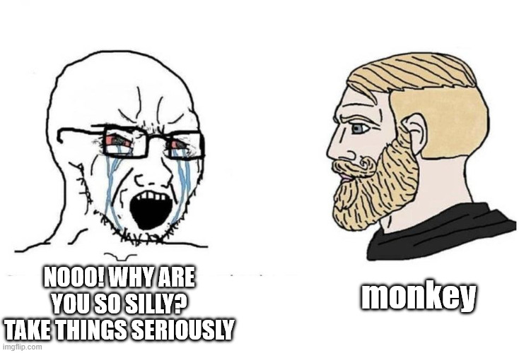 be silly guys | monkey; nooo! why are you so silly? take things seriously | image tagged in chad vs virgin | made w/ Imgflip meme maker