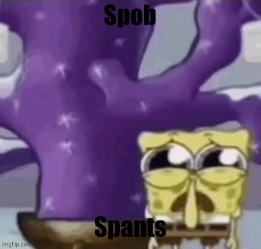 Zad Spunchbop | Spob Spants | image tagged in zad spunchbop | made w/ Imgflip meme maker