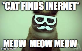 *CAT FINDS INERNET* MEOW  MEOW MEOW | image tagged in dubstep cat | made w/ Imgflip meme maker