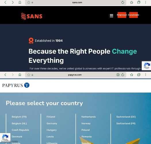 I typed in sans.com and papyrus.com | made w/ Imgflip meme maker