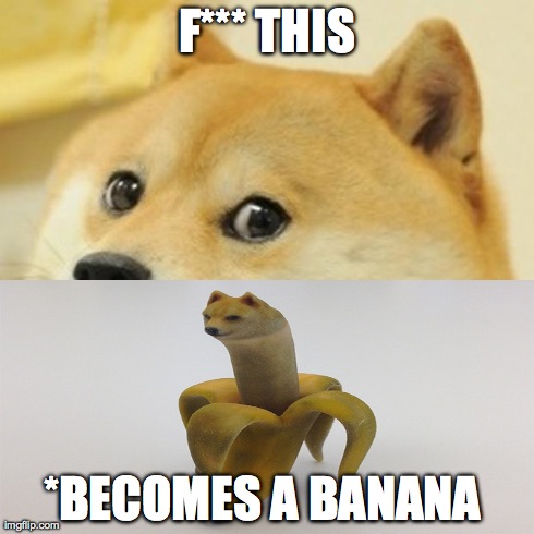 Doge Meme | F*** THIS *BECOMES A BANANA | image tagged in memes,doge | made w/ Imgflip meme maker