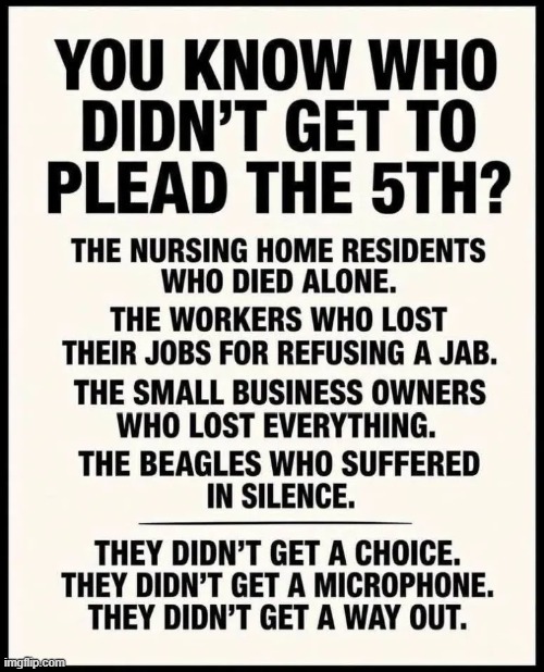 fifth amendment meme | image tagged in img_6377 webp,political meme,dr fauci,democrats | made w/ Imgflip meme maker