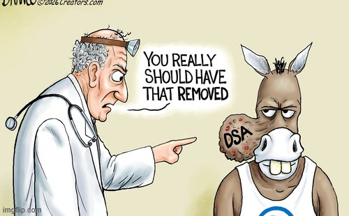 DSA is a cancer | image tagged in political,reposts,dsa cancer | made w/ Imgflip meme maker