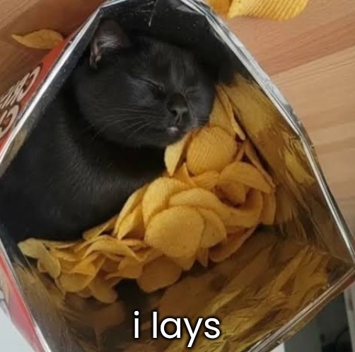 i lays | made w/ Imgflip meme maker