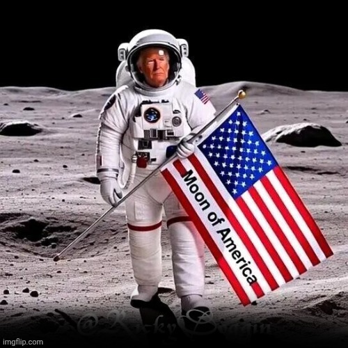 image tagged in donald trump astronaut | made w/ Imgflip meme maker