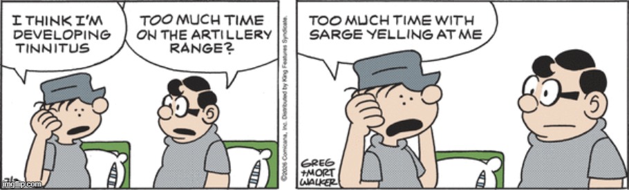 Beetle Bailey | image tagged in comics | made w/ Imgflip meme maker