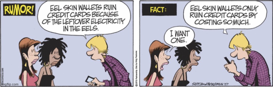 Zits | image tagged in comics | made w/ Imgflip meme maker