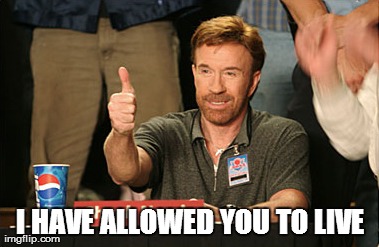 Chuck Norris Approves Meme | I HAVE ALLOWED YOU TO LIVE | image tagged in memes,chuck norris approves | made w/ Imgflip meme maker