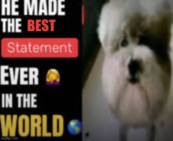 he made the worst statement ever in the world | best | image tagged in he made the worst statement ever in the world | made w/ Imgflip meme maker