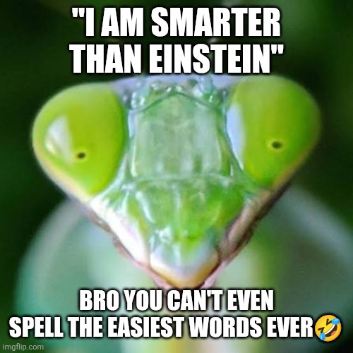 "I aM sMaRtEr ThAn EiNsTeIn" Bro you can't even spell the easiest words ever? | image tagged in mad mantis | made w/ Imgflip meme maker