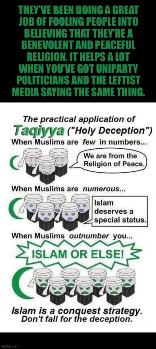 Their numbers are growing and time is running out | image tagged in political meme,islam,taqiyya,deception,plan of conquest,uniparty cooperation | made w/ Imgflip meme maker