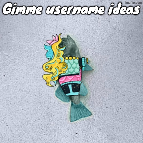 Fih | Gimme username ideas | image tagged in fih | made w/ Imgflip meme maker