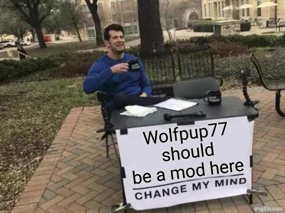 Wolfpup77 | Wolfpup77 should be a mod here | image tagged in change my mind | made w/ Imgflip meme maker