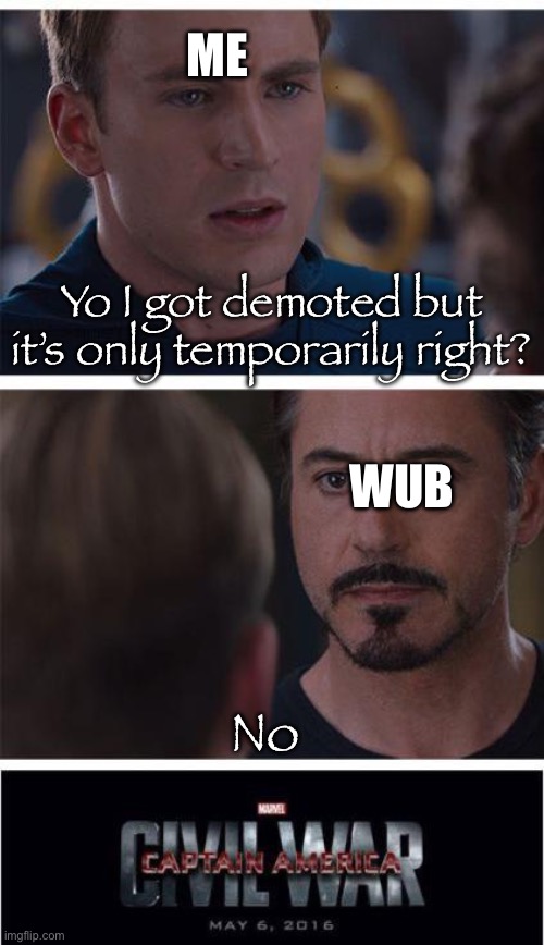 Not going to do it (cause I have I life unlike Lou) | Me; Yo I got demoted but it’s only temporarily right? Wub; No | image tagged in memes,marvel civil war 1 | made w/ Imgflip meme maker