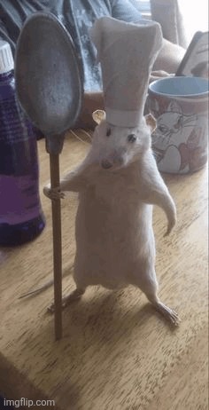 mouse-cooking.png | image tagged in mouse-cooking png | made w/ Imgflip meme maker