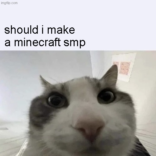 green text cat | should i make a minecraft smp | image tagged in green text cat | made w/ Imgflip meme maker