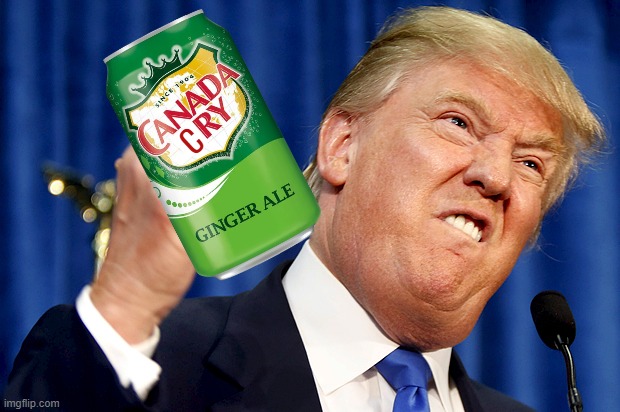 Mock Them Until the Puppet Strings Snap | C | image tagged in donald trump,canada,cry | made w/ Imgflip meme maker