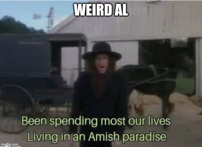 Weird AL | Weird AL | image tagged in amish paradise,funny memes | made w/ Imgflip meme maker