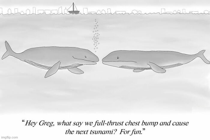 Whalenami | image tagged in comics | made w/ Imgflip meme maker