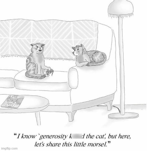 Share Cats | image tagged in cats | made w/ Imgflip meme maker