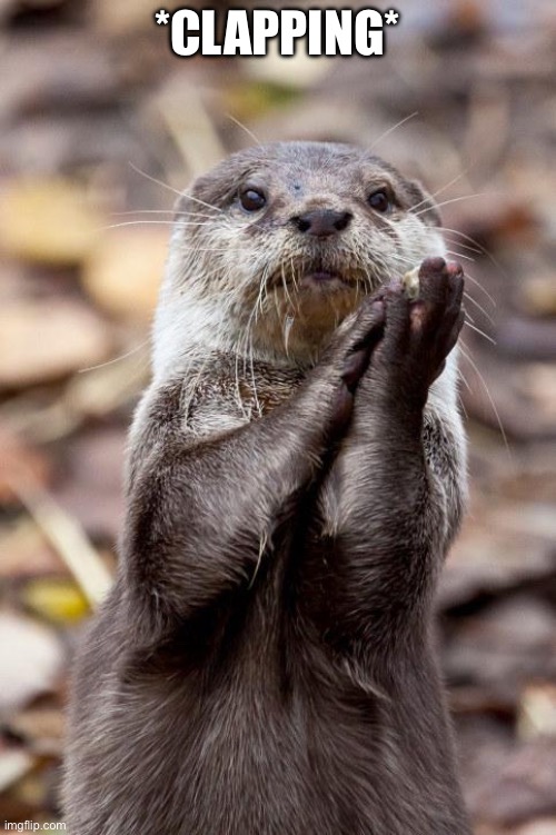 Slow-Clap Otter | *clapping* | image tagged in slow-clap otter | made w/ Imgflip meme maker