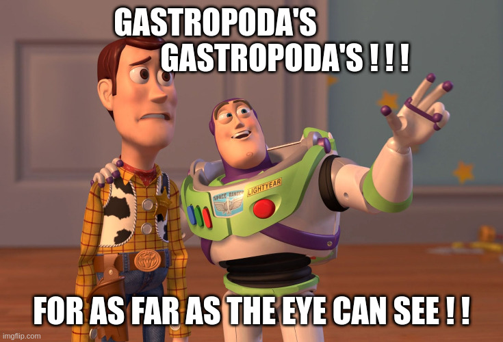 X, X Everywhere Meme | Gastropoda's                        Gastropoda's ! ! ! For as Far as the eye can see ! ! | image tagged in memes,x x everywhere | made w/ Imgflip meme maker