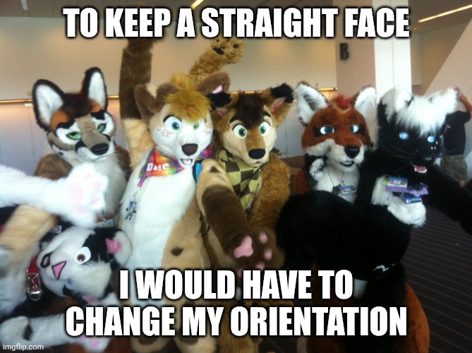 When I think about it | To keep a straight face; I would have to change my orientation | image tagged in furries,wordplay,pun | made w/ Imgflip meme maker