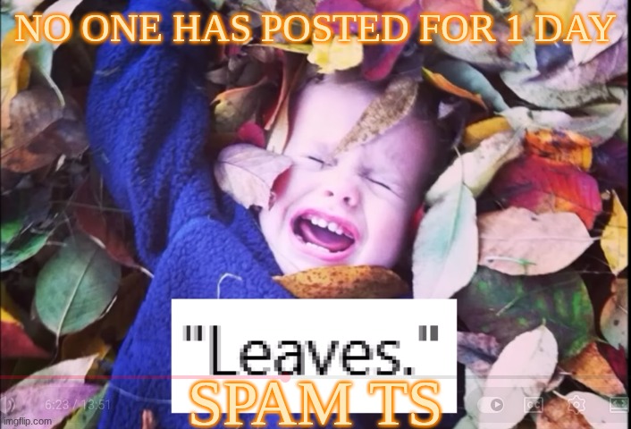 "Leaves" | NO ONE HAS POSTED FOR 1 DAY; SPAM TS | image tagged in leaves | made w/ Imgflip meme maker