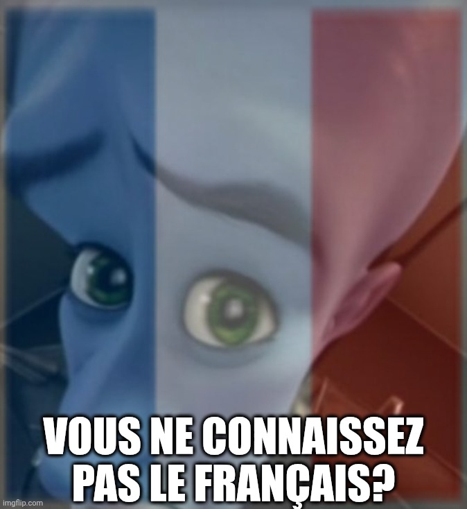 Vous ne connaissez pas le français? | made w/ Imgflip meme maker