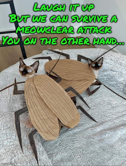 Laugh it up
But we can survive a meowclear attack
You on the other hand… | made w/ Imgflip meme maker