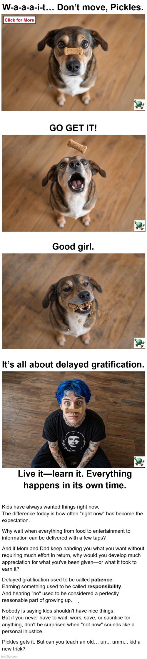 Does today's youth expect everything immediately? | image tagged in meme,maga,conservative,youth | made w/ Imgflip meme maker