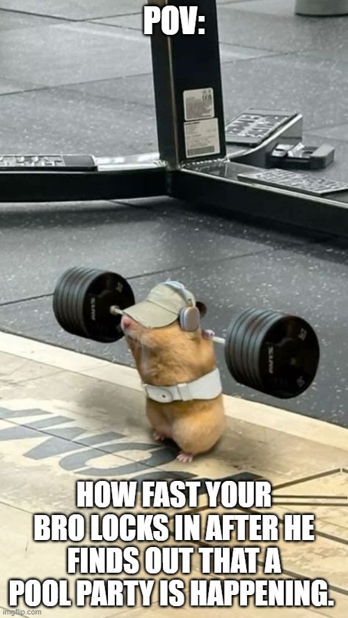 Start lifting bro | Pov:; How fast your bro locks in after he finds out that a pool party is happening. | image tagged in hamster lifting weights | made w/ Imgflip meme maker