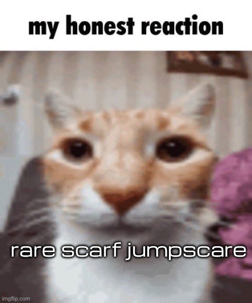 My honest reaction | rare scarf jumpscare | image tagged in my honest reaction | made w/ Imgflip meme maker