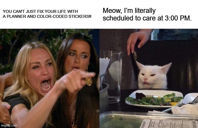 Woman Yelling At Cat Meme | YOU CAN'T JUST FIX YOUR LIFE WITH A PLANNER AND COLOR-CODED STICKERS!! Meow, I’m literally scheduled to care at 3:00 PM. | image tagged in memes,woman yelling at cat | made w/ Imgflip meme maker