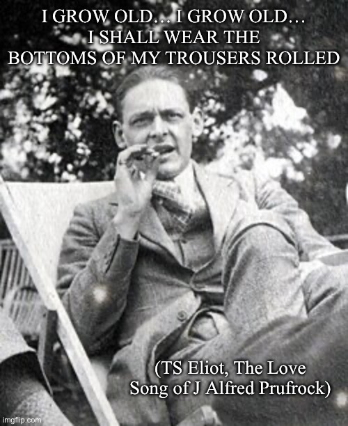 TS Eliot | I grow old… I grow old…
I shall wear the bottoms of my trousers rolled; (TS Eliot, The Love Song of J Alfred Prufrock) | image tagged in img_5646 jpeg,poem,poetry | made w/ Imgflip meme maker
