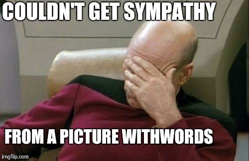 Captain Picard Facepalm Meme | COULDN'T GET SYMPATHY FROM A PICTURE WITHWORDS | image tagged in memes,captain picard facepalm | made w/ Imgflip meme maker