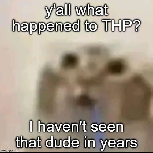 Drooling cat | y'all what happened to THP? I haven't seen that dude in years | image tagged in drooling cat | made w/ Imgflip meme maker