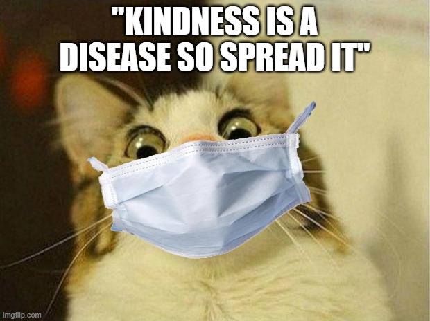 I am reposting this bc I now have access to my main acc and my alt acc posted this first | "kindness is a disease so spread it" | image tagged in memes,scared cat | made w/ Imgflip meme maker