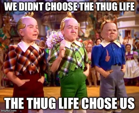 WE DIDNT CHOOSE THE THUG LIFE THE THUG LIFE CHOSE US | image tagged in oz | made w/ Imgflip meme maker