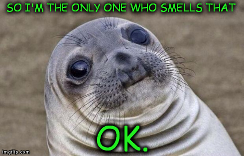 Awkward Moment Sealion Meme | SO I'M THE ONLY ONE WHO SMELLS THAT  OK. | image tagged in memes,awkward moment sealion | made w/ Imgflip meme maker