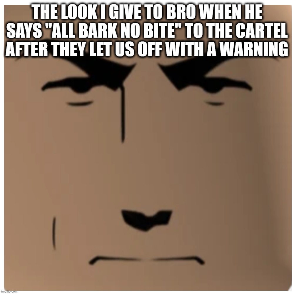 Aw hell naw | The look i give to bro when he says "all bark no bite" to the cartel after they let us off with a warning | image tagged in disaster,top 10 | made w/ Imgflip meme maker