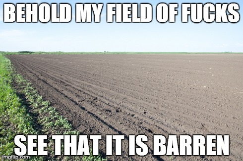 I shall not plant. I shall not sow. I shall not reap.  | BEHOLD MY FIELD OF F**KS SEE THAT IT IS BARREN | image tagged in no fucks to give,idgaf | made w/ Imgflip meme maker