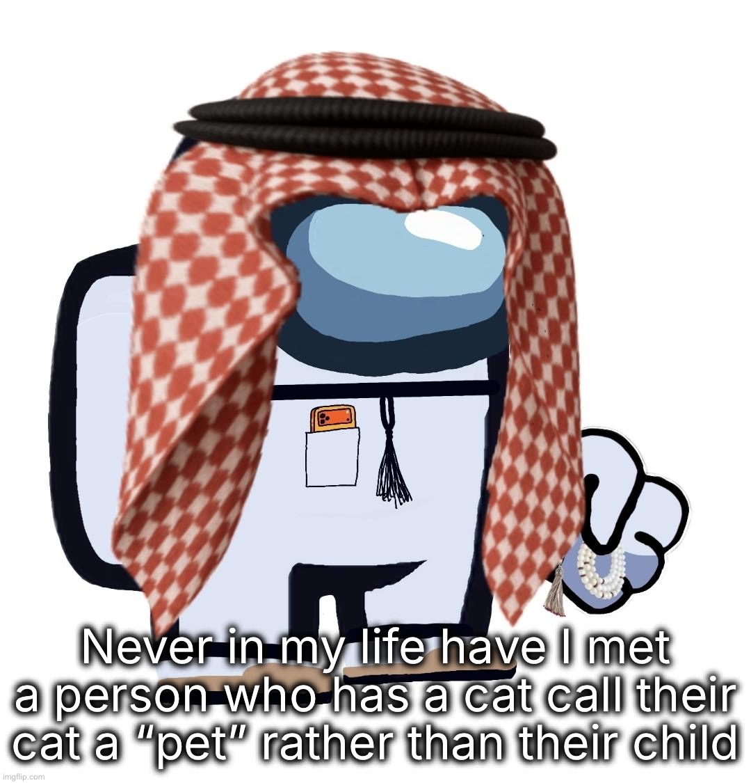 ArabMogus (thanks eshaheer) | Never in my life have I met a person who has a cat call their cat a “pet” rather than their child | image tagged in arabmogus thanks eshaheer | made w/ Imgflip meme maker