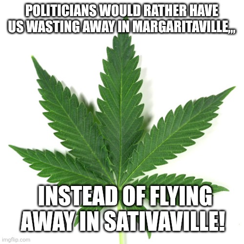 Marijuana leaf | Politicians would rather have us wasting away in Margaritaville,,, Instead of flying away in Sativaville! | image tagged in marijuana leaf,remix | made w/ Imgflip meme maker