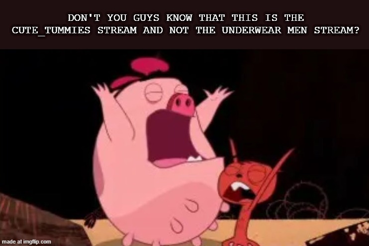 Like i want to see random posts of y'all not underwear | Don't you guys know that this is the cute_tummies stream and not the underwear men stream? | image tagged in peri and entree screaming | made w/ Imgflip meme maker