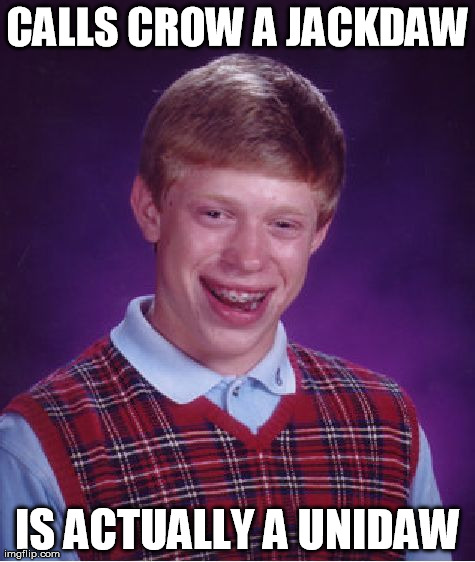 Bad Luck Brian Meme | CALLS CROW A JACKDAW IS ACTUALLY A UNIDAW | image tagged in memes,bad luck brian | made w/ Imgflip meme maker