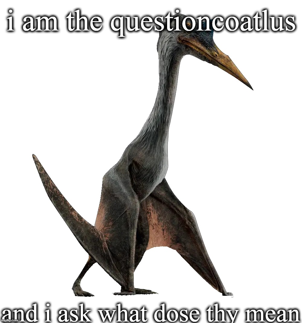 Quetzalcoatlus | i am the questioncoatlus and i ask what dose thy mean | image tagged in quetzalcoatlus | made w/ Imgflip meme maker