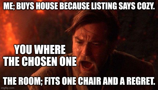You Were The Chosen One (Star Wars) Meme | me; buys house because listing says cozy. you where the chosen one; the room; fits one chair and a regret. | image tagged in memes,you were the chosen one star wars | made w/ Imgflip meme maker